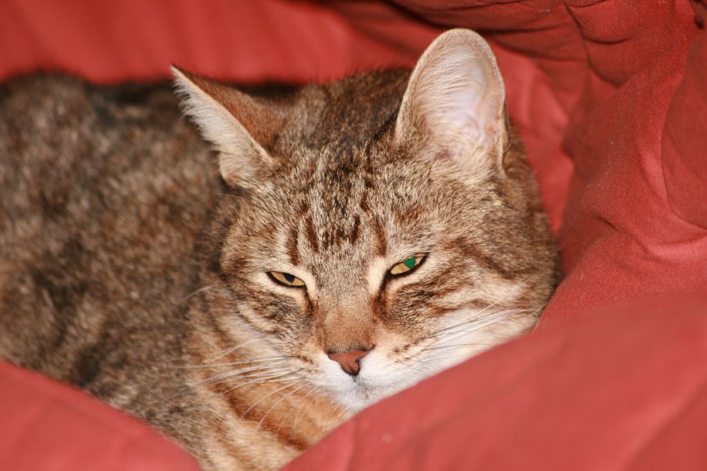 che sonno!!!!!! chi � che ........