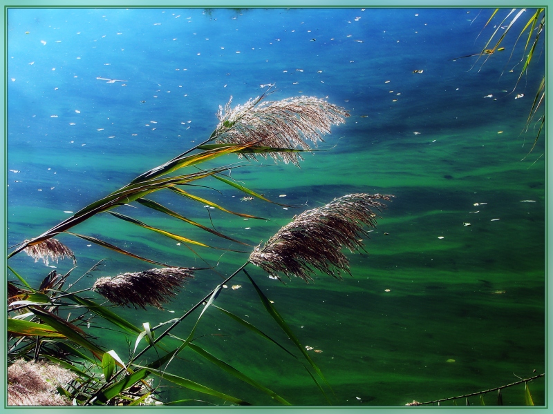 mi piego ma non mi spezzo