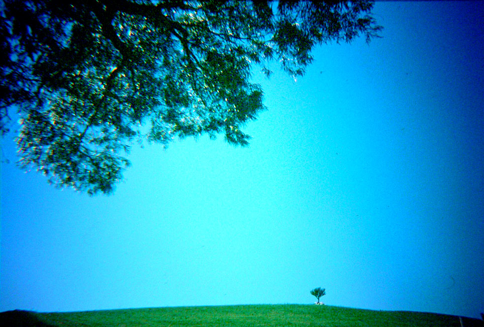 .: lomo's landscape 02 :.
