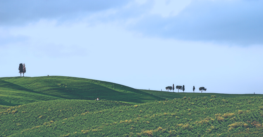 il mio campo preferito