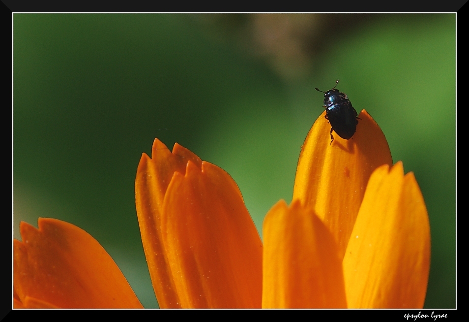 Uno sguardo al panorama