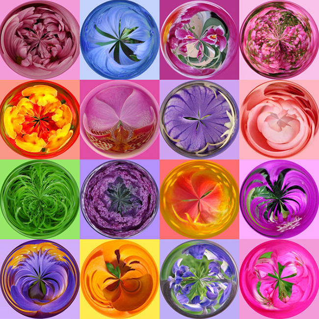 Sfere di Fiori