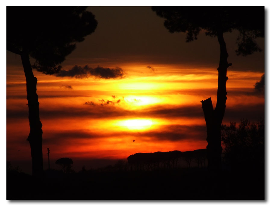 Africa?no......Castelli romani