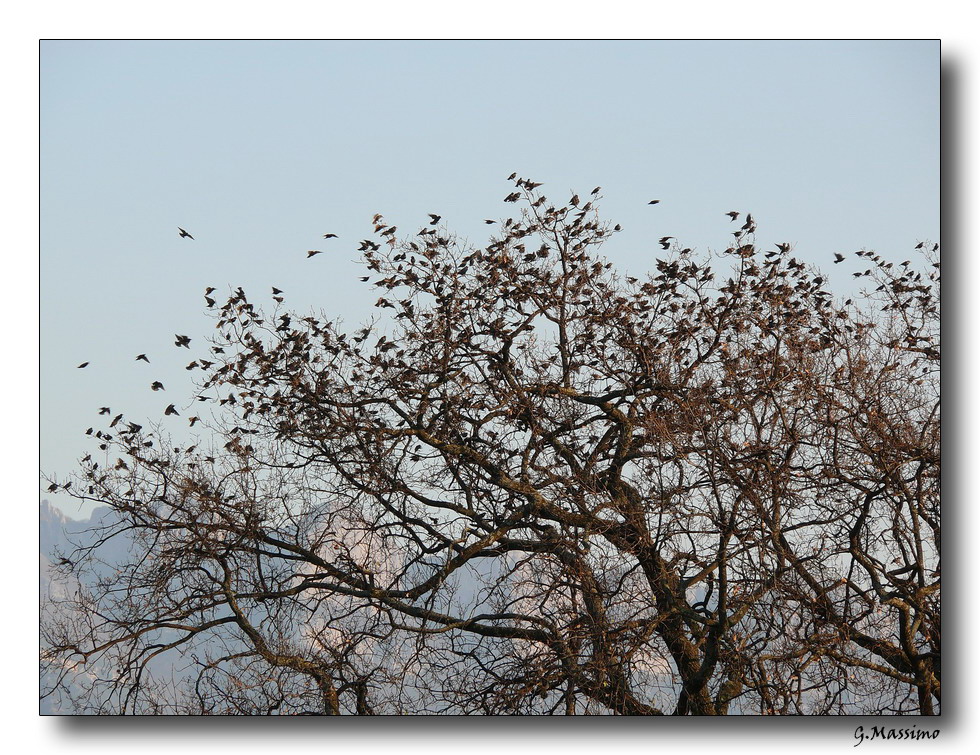 quando si fa sera...