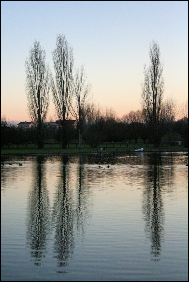 Riflessi al parco #1