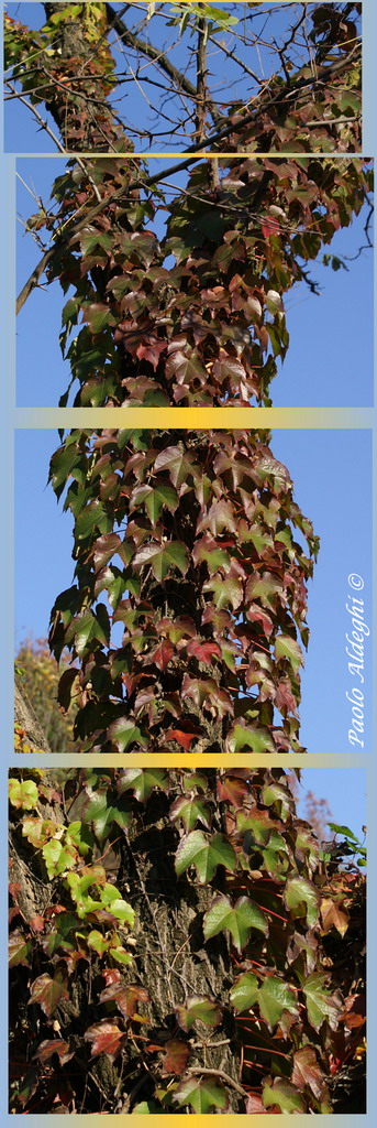 L'energia della natura