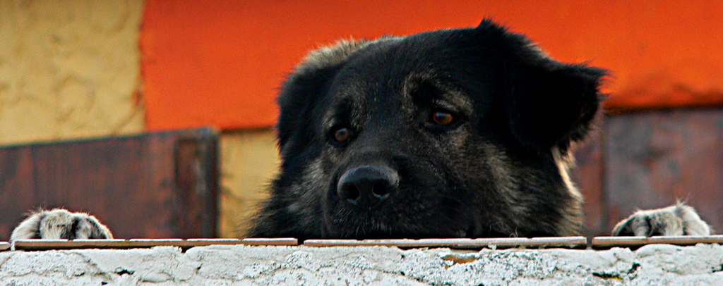 In attesa del ritorno