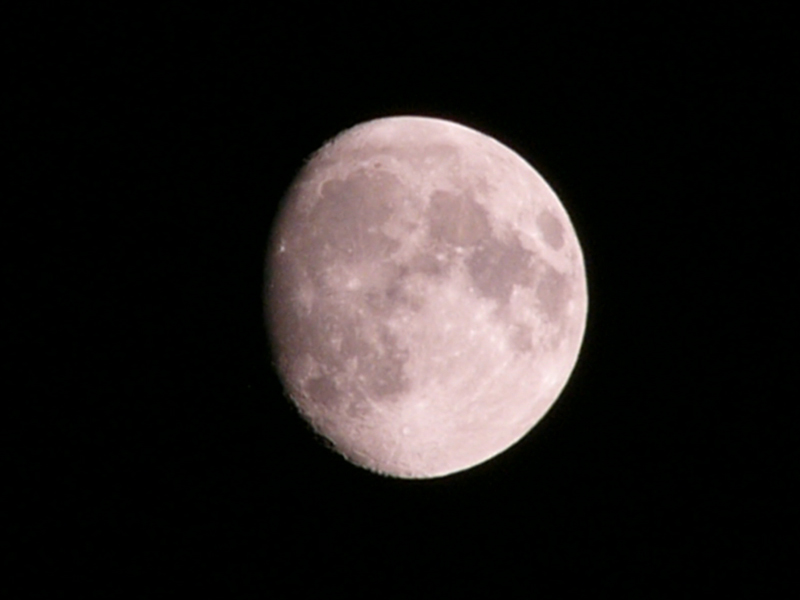 Vedo il mondo da un obl�