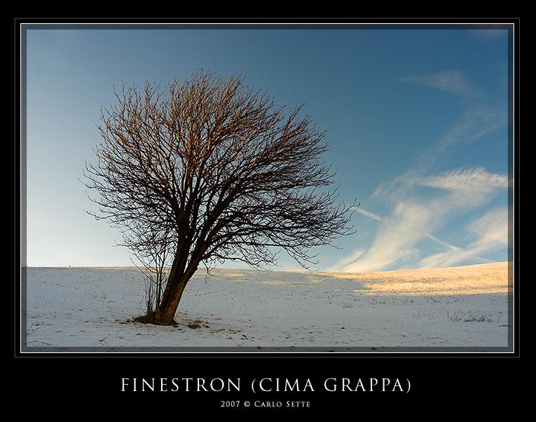 Finestron (Monte Grappa)