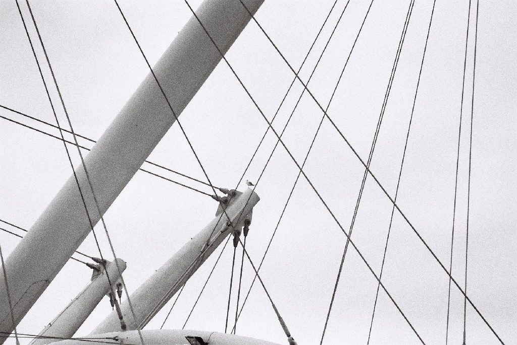 expo-bigo GENOVA,geometrie gen07