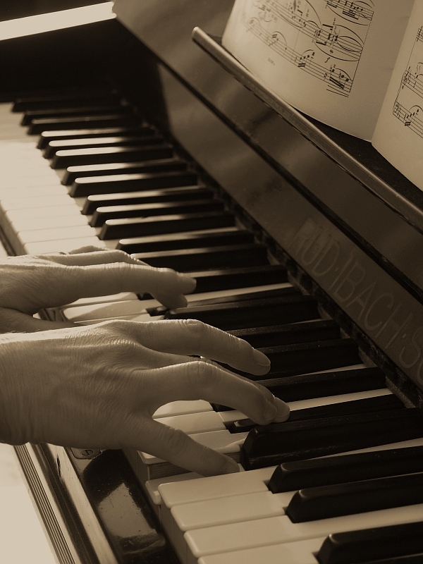 Contest n�24 "Musica!"