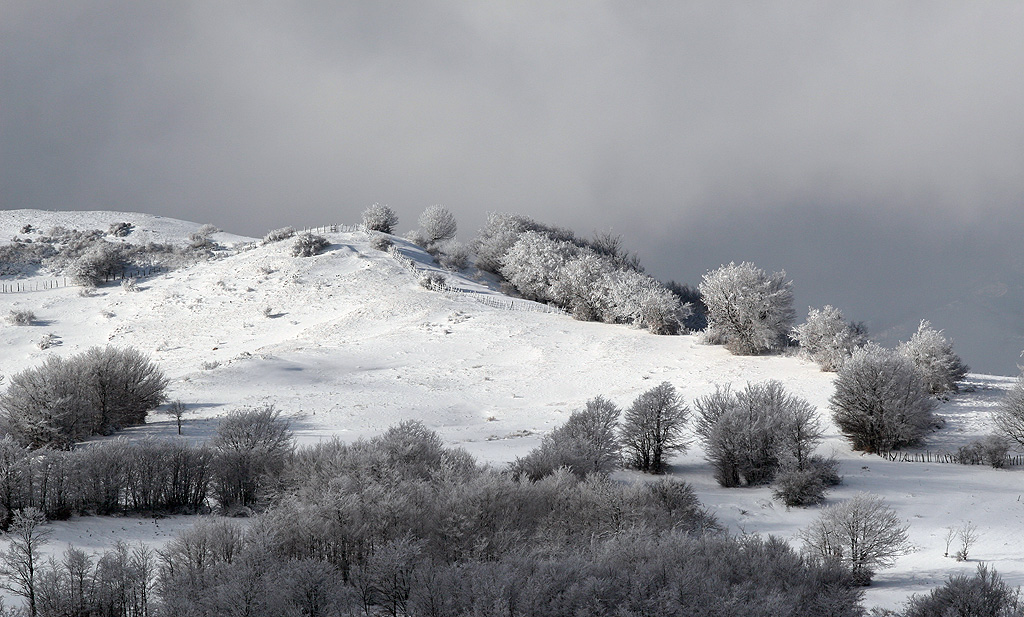 Colore o Bianco e nero