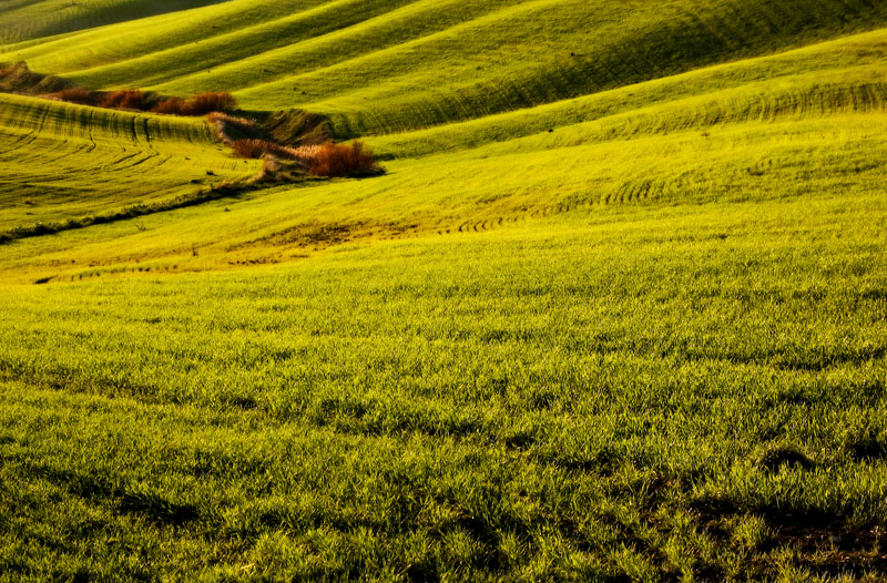 9379 al calar del sole