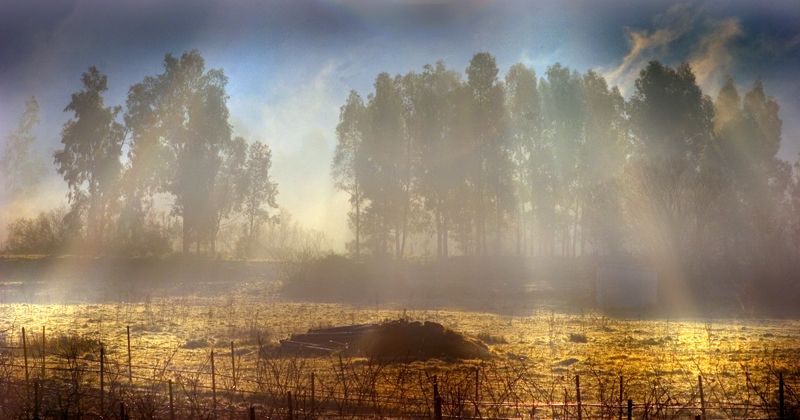 stesso giorno 29_1_2007