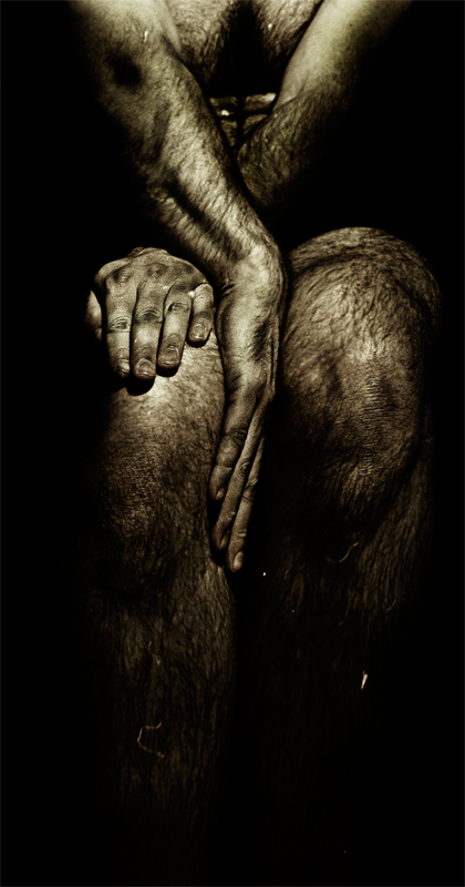 pubert� di schiele