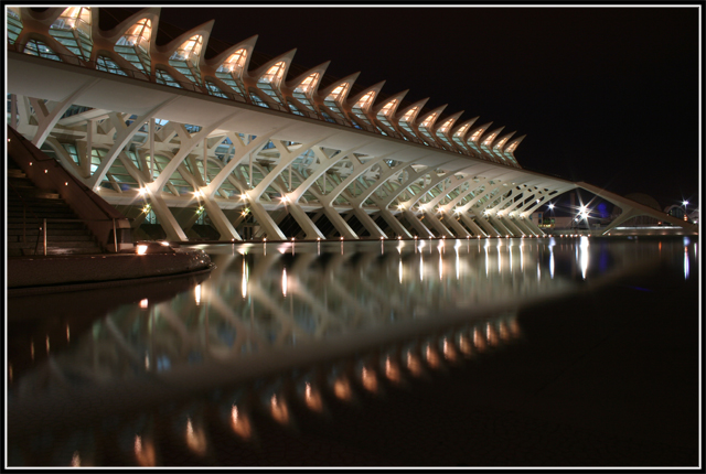 Valencia - Museo delle Scienze