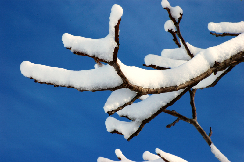 Equilibrio Instabile