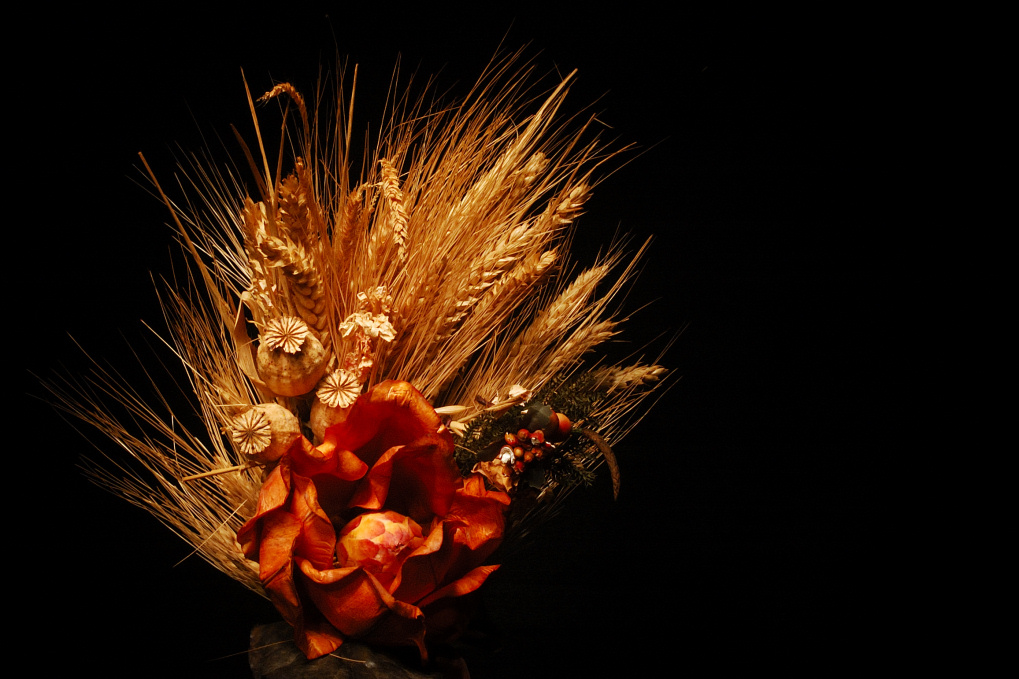 Composizione con Spighe