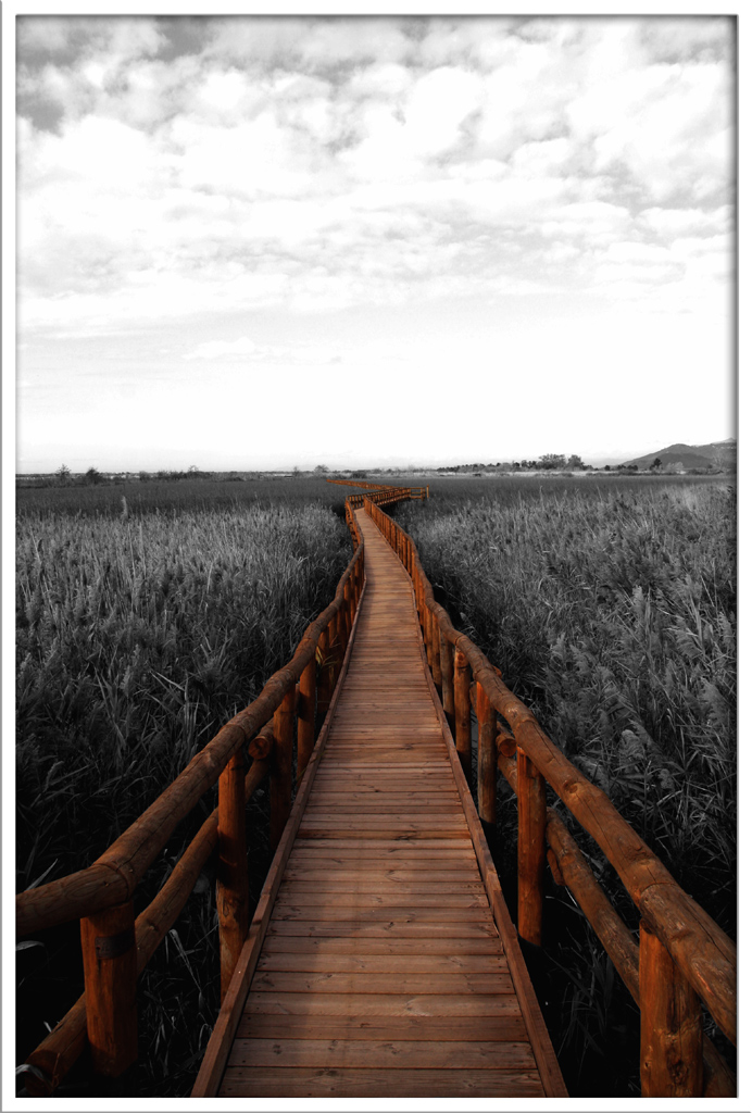 sentiero per i sogni