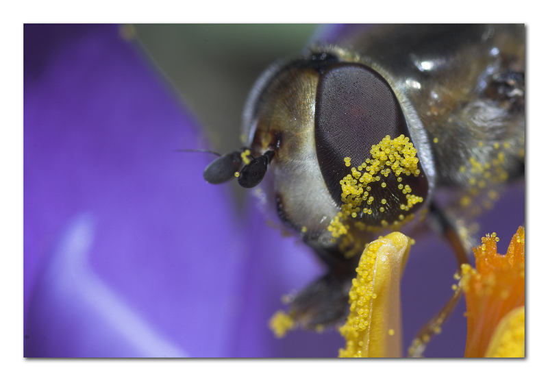 ...non ci vedo pi� dalla fame!!