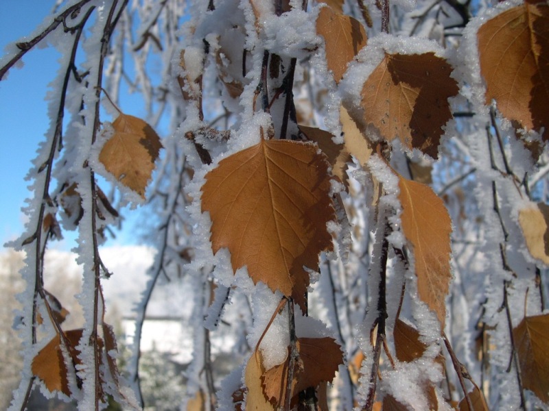 Inverno