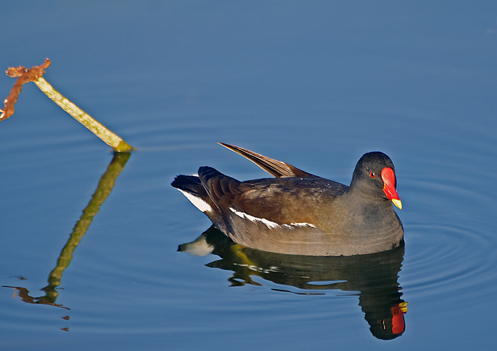 ...giochi allo specchio...