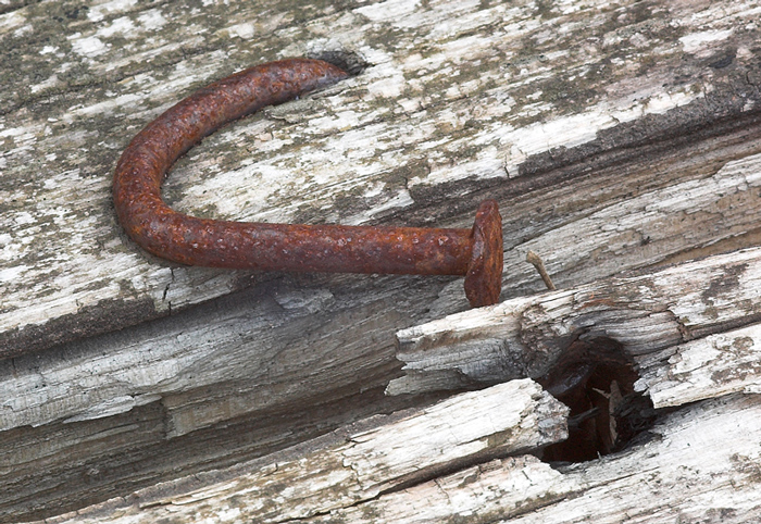 abandonment : desperation and solitudine