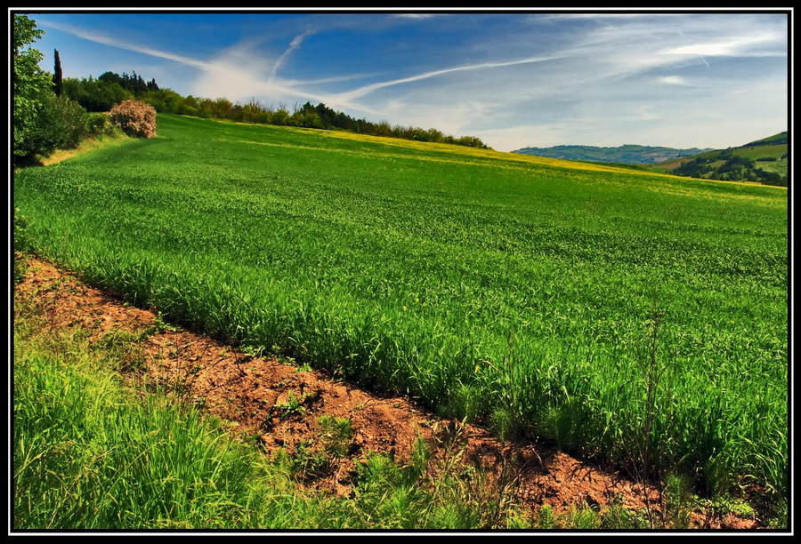 ...c'� un grande prato verde...