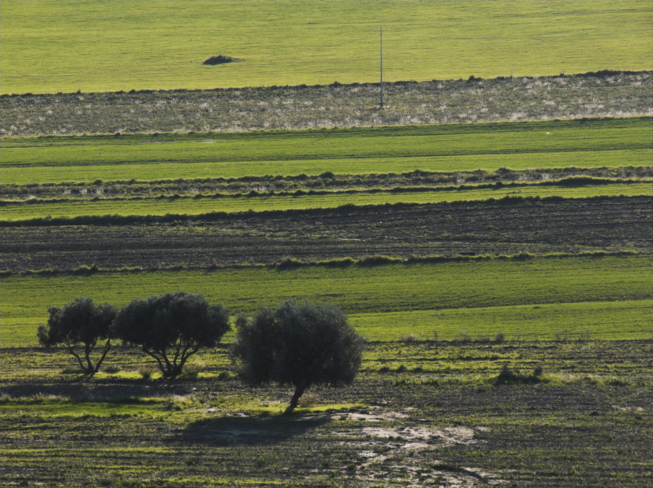 .: 14:01:2007 16:46 :.