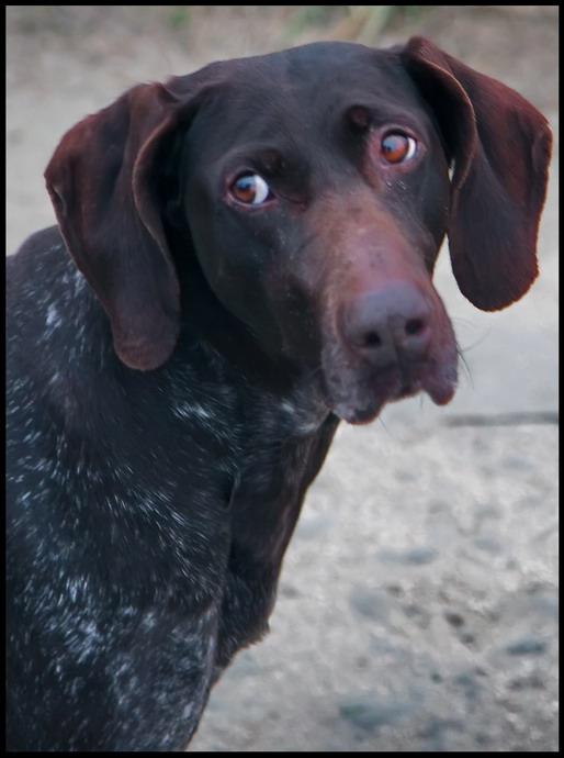 Uno sguardo quasi..umano