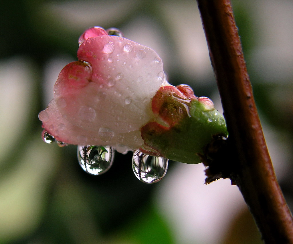 In..... .. compagnia!