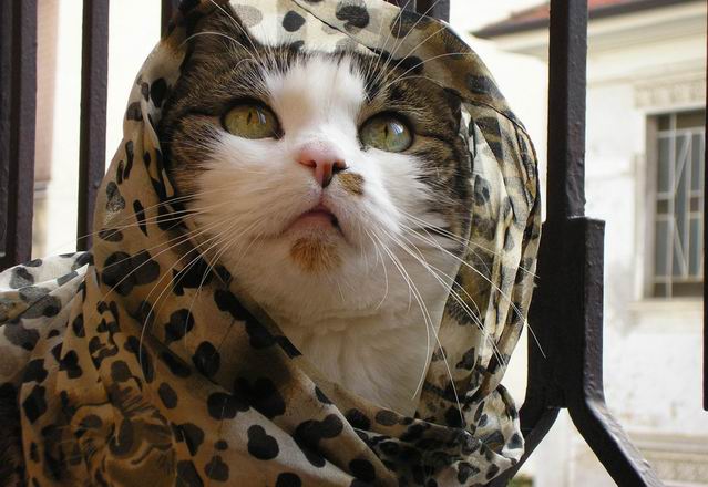 fuggir� dalla prigione 2