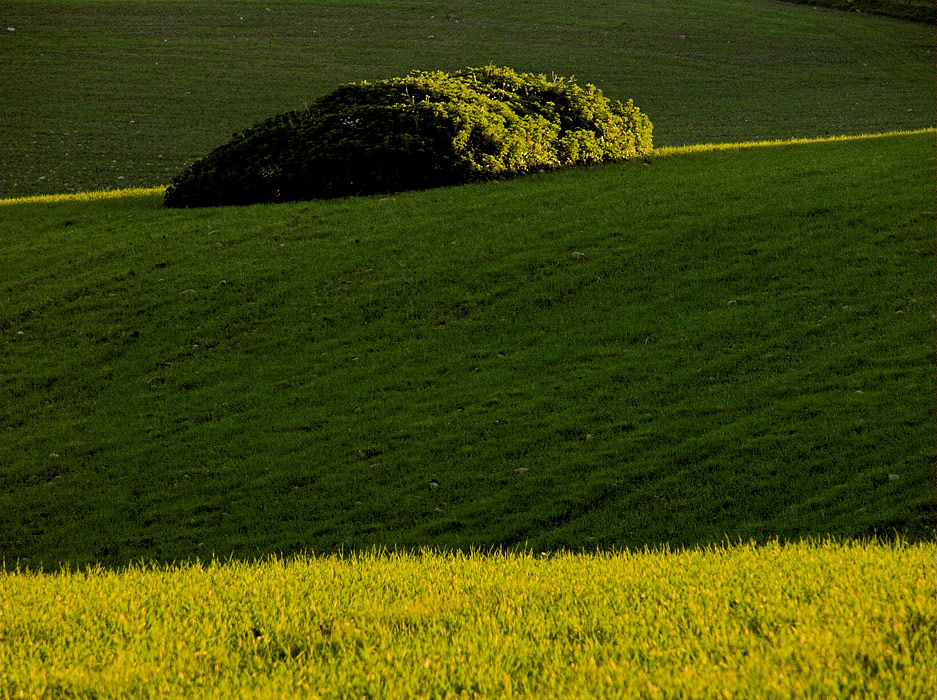 .: 14:01:2007 17:32 :.