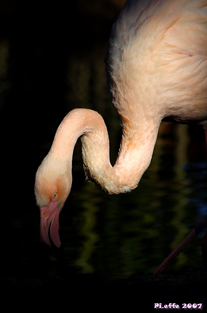 Colpito da un raggio di sole