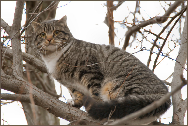 Mi sa che sono salito troppo in alto ....