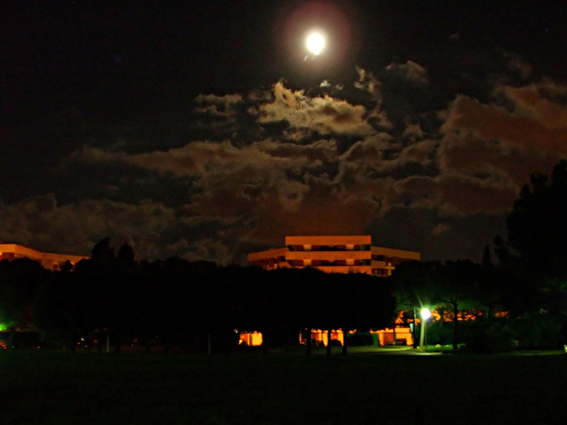nel parco, una sera d'estate