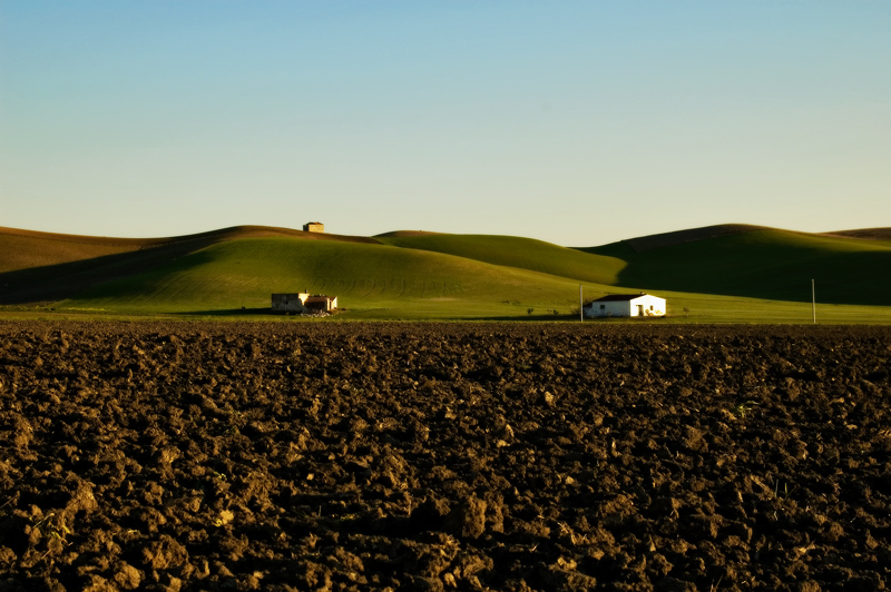 contrasti di campagna