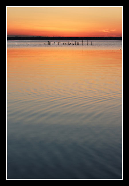 lago massaciuccoli 02