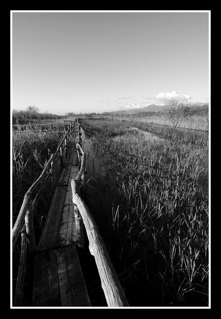 lago massaciuccoli 05