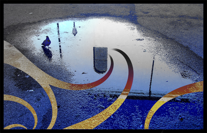 il piccione e l'acqua