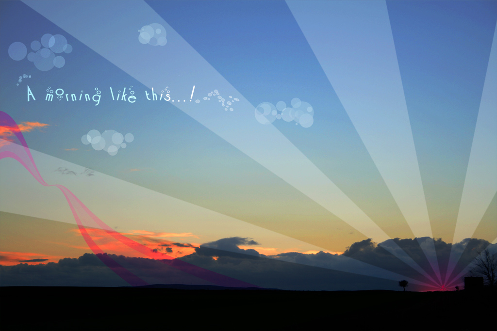 a morning like this...