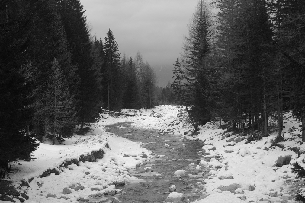 Torrente di Montagna