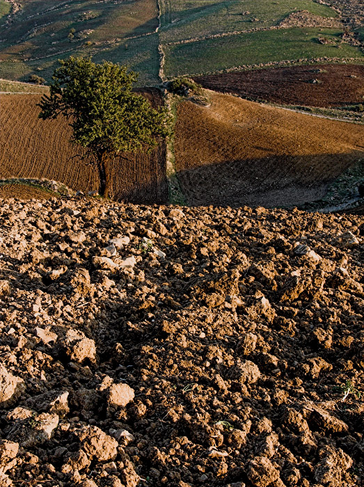 .: 15:11:2006 17:15 :.