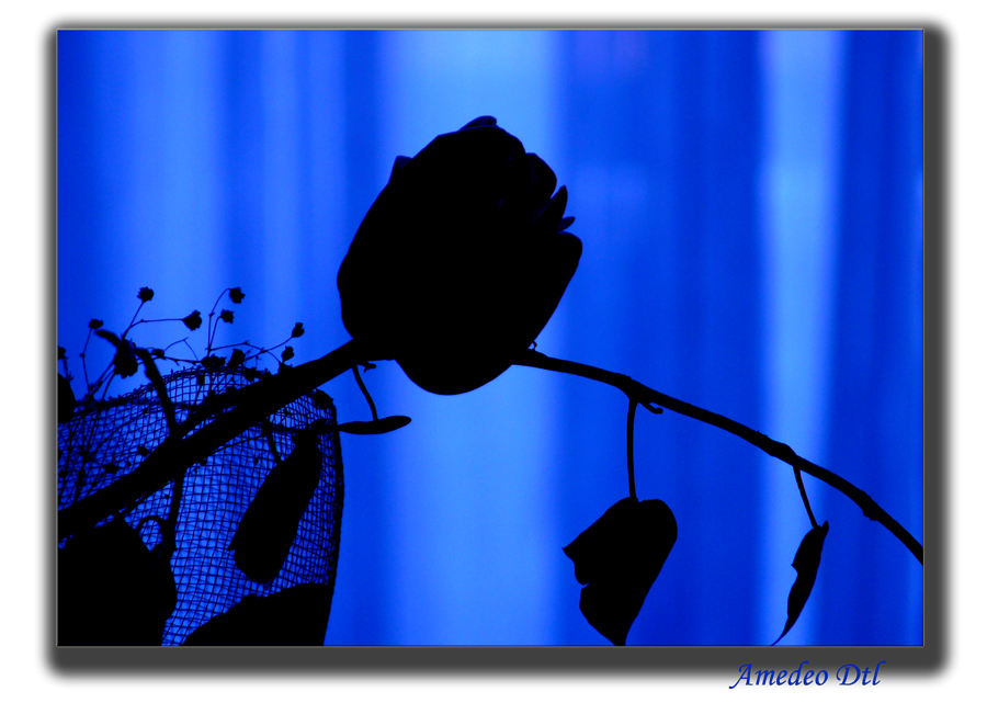still solitude