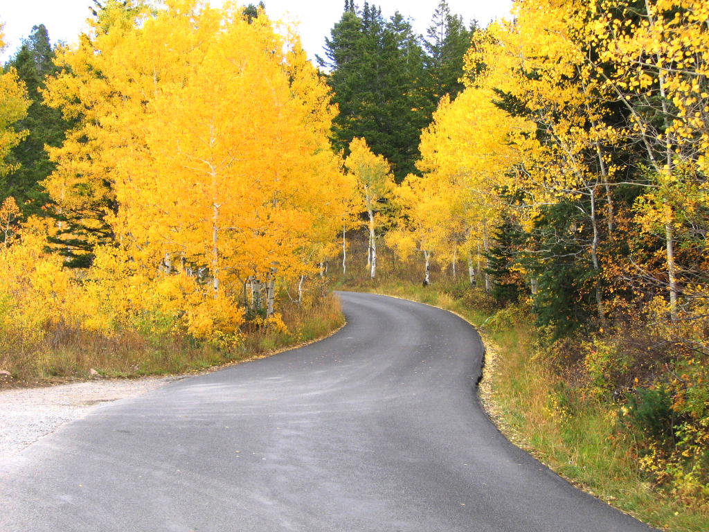 L'autunno... a volte...