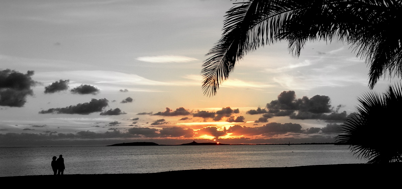 torre grande rivista