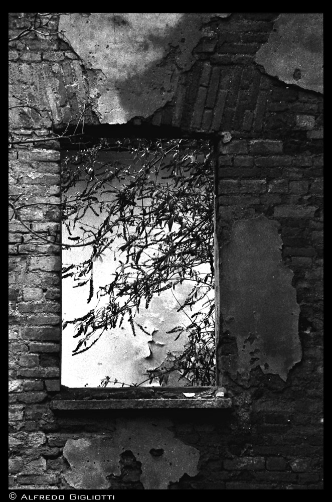 La finestra