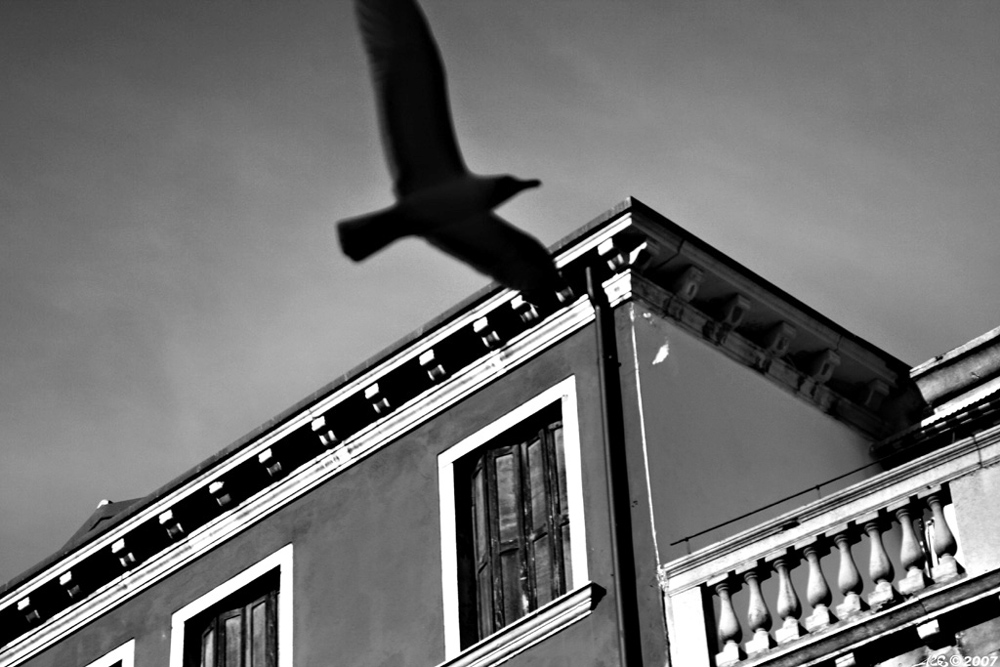 Sagoma nel cielo di veniss