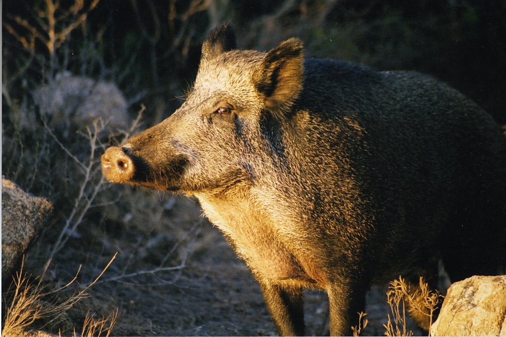 mi guardo il tramonto