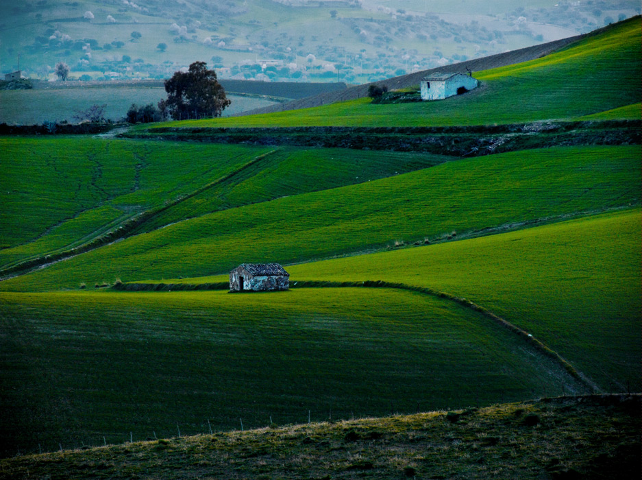 .: 31:01:2007 16:20 :.